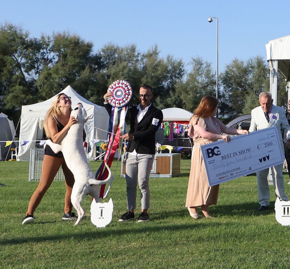 Buongiorno, Bullyganza